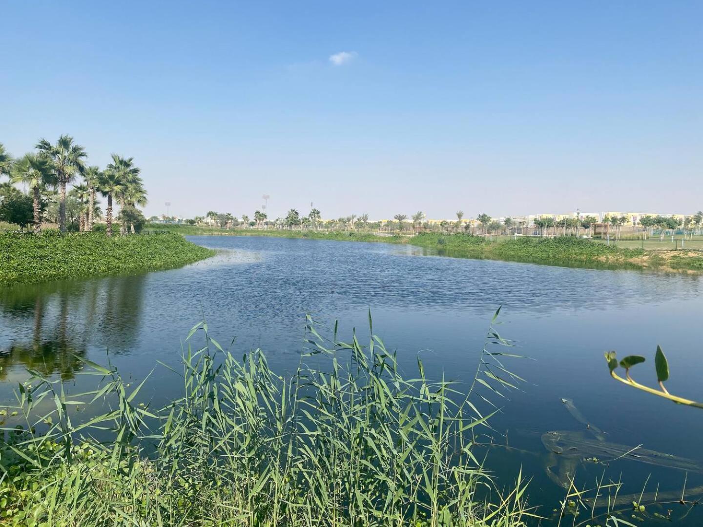 Villa Victoria Damac Hills 2 Family Retreat With Waterpark And Petting Farm Dubai Exterior photo