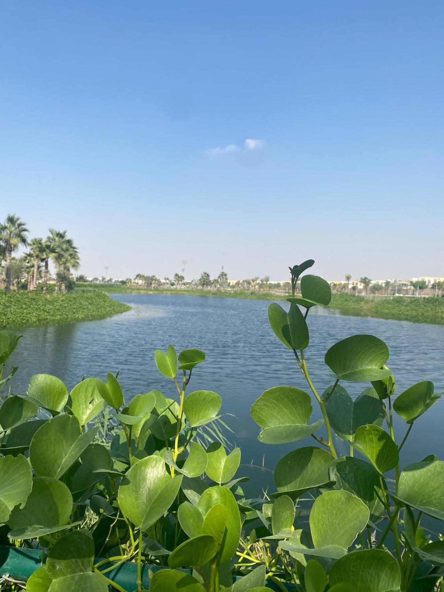 Villa Victoria Damac Hills 2 Family Retreat With Waterpark And Petting Farm Dubai Exterior photo